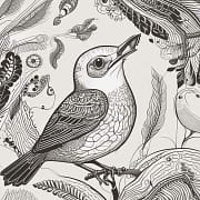 Eclectic Lofi Diverse Sounds | Lo-Fi World Relaxing Tunes Eclectic Lofi Diverse Sounds | Lo-Fi World Relaxing Tunes