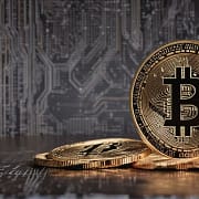 Bitcoin Rain | Bitcoin Lofi | Paradise Lofi Session 14 Bitcoin Rain | Bitcoin Lofi | Paradise Lofi Session 14