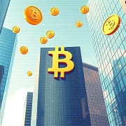 Bitcoin Tower (Lofi Session) Bitcoin Tower (Lofi Session)