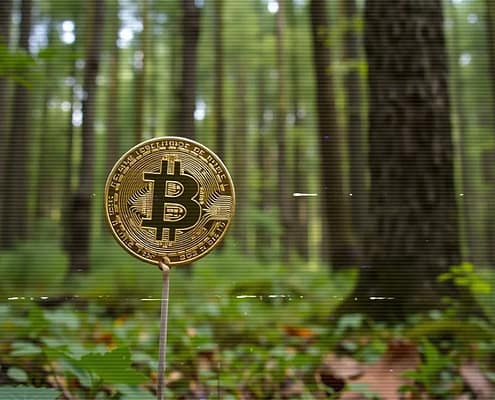 Aura Haze Melodic Chillwave