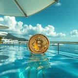 Bitcoin Harmonies Lofi Session