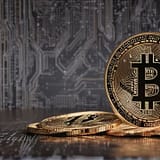 Bitcoin Rain | Bitcoin Lofi | Paradise Lofi Session 14