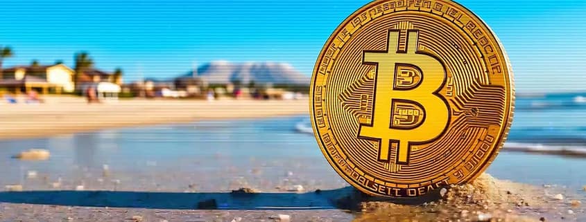 Bitcoin Playa (Lofi Session)