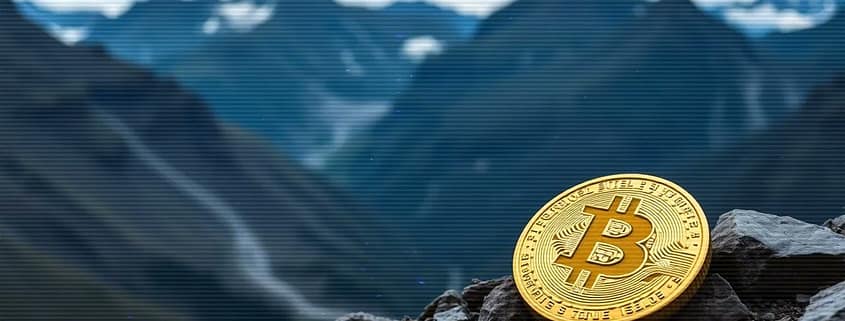 Manifesting Bitcoin (Lofi Session)